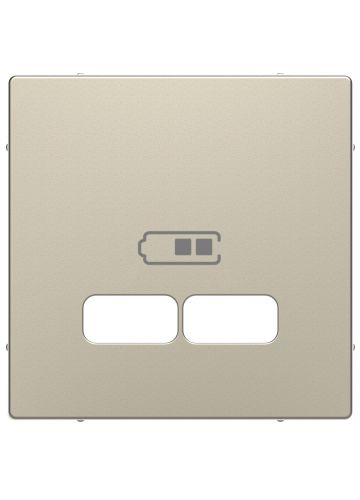 Центральная накладка Merten D-Life для USB механизма 2,1А