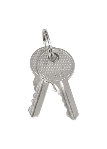 Ключ для замка (арт. 18-20/38-ip31) EKF PROxima (key-1)